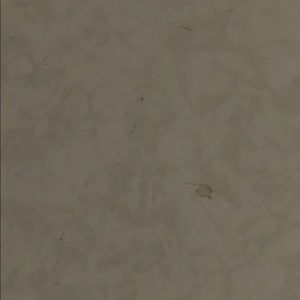 Meet your Posher, Jayson